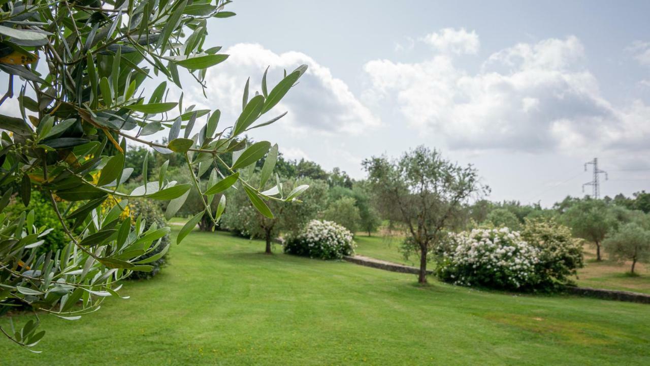 Poggio Al Palio Aparthotel San Lorenzo a Merse Ngoại thất bức ảnh