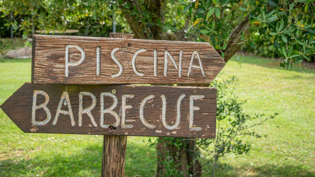 Poggio Al Palio Aparthotel San Lorenzo a Merse Ngoại thất bức ảnh